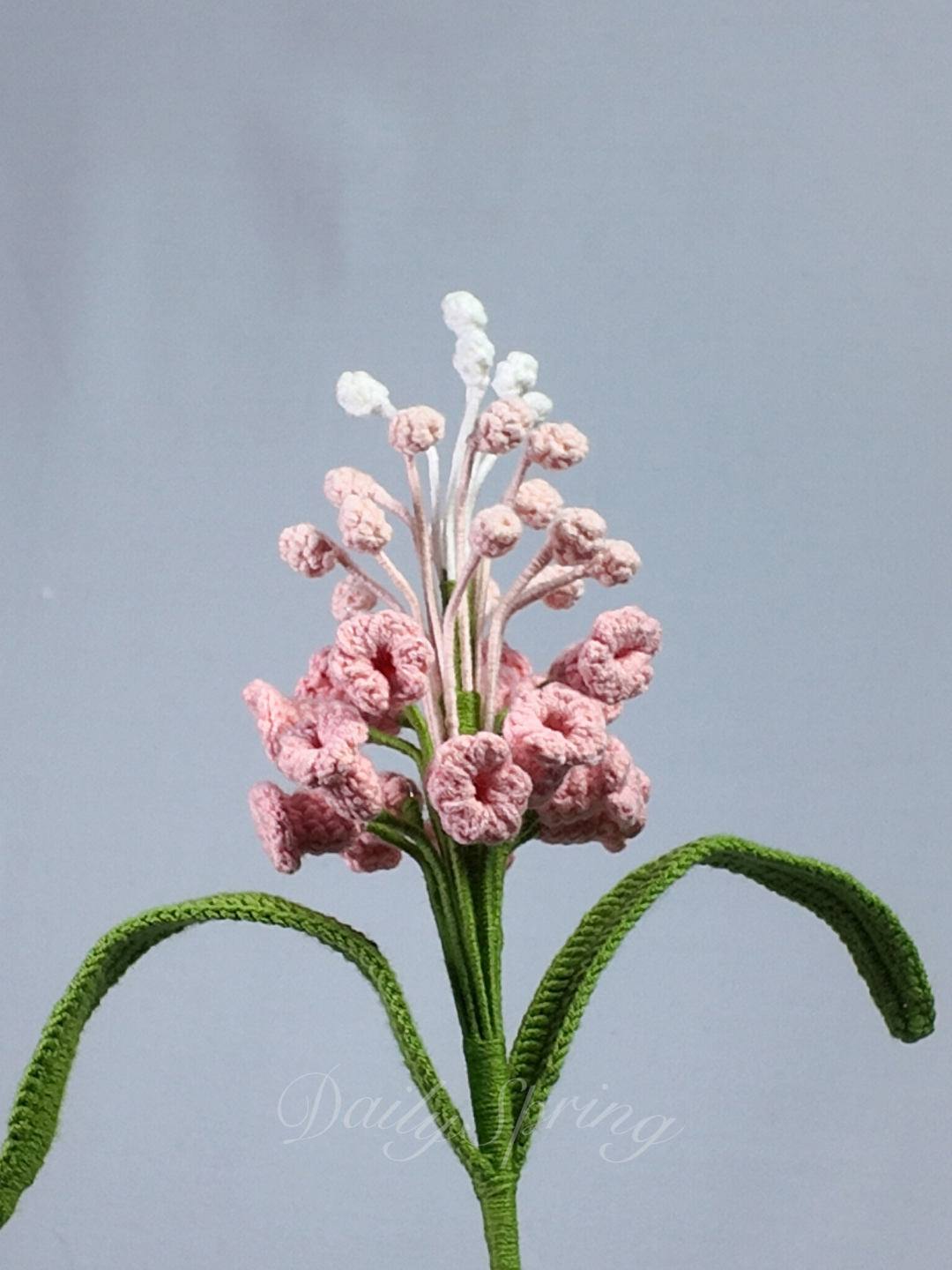 Snapdragons