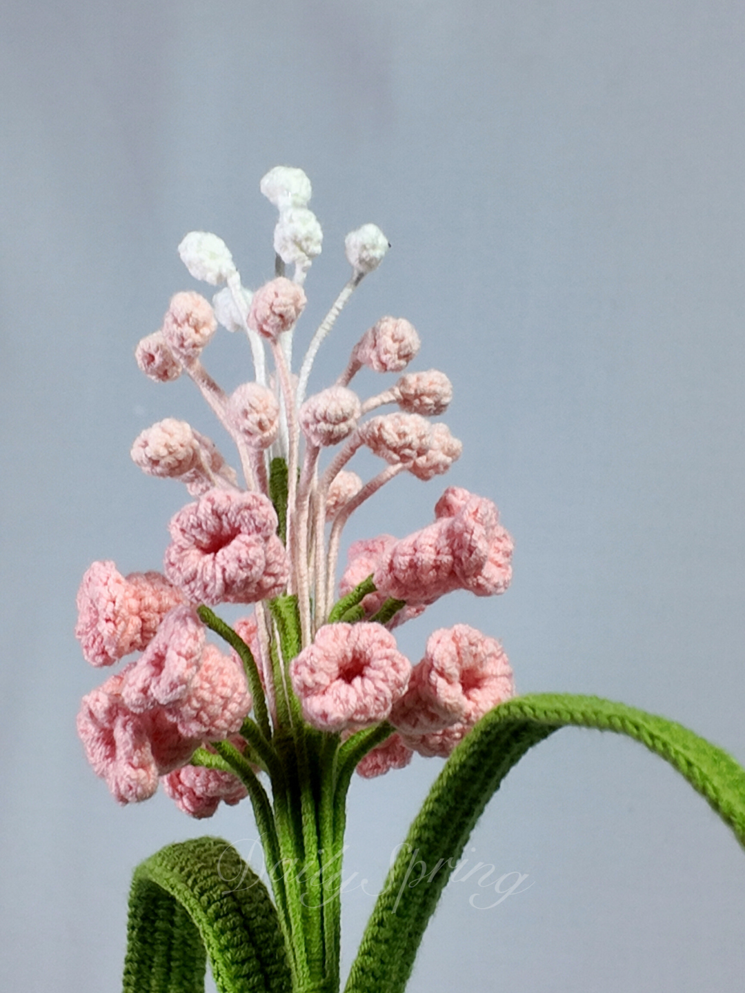 Snapdragons