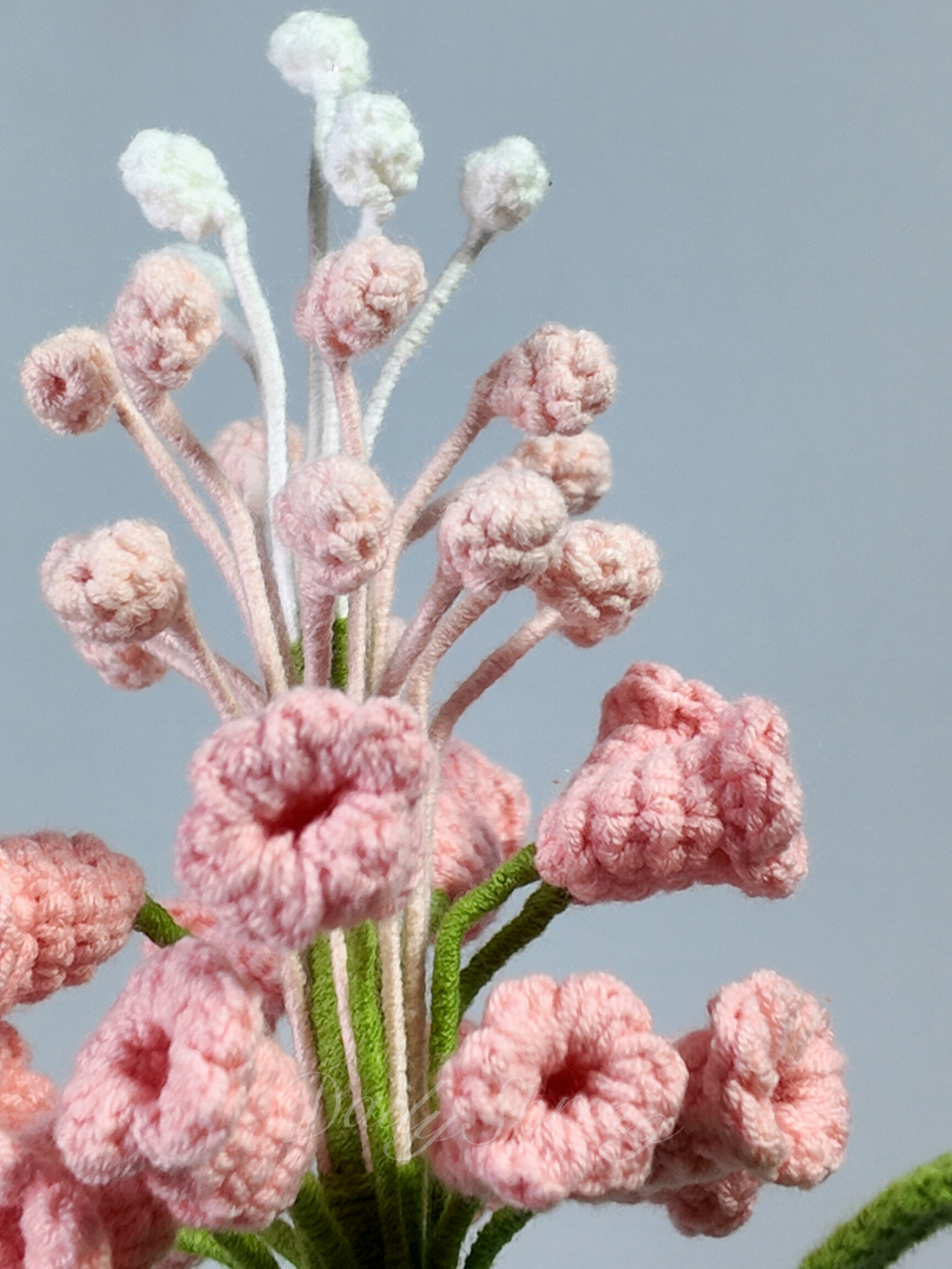 Snapdragons