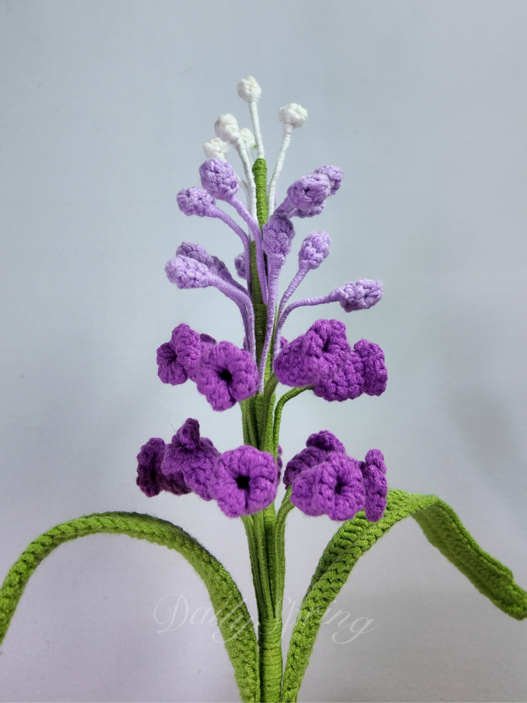 Snapdragons