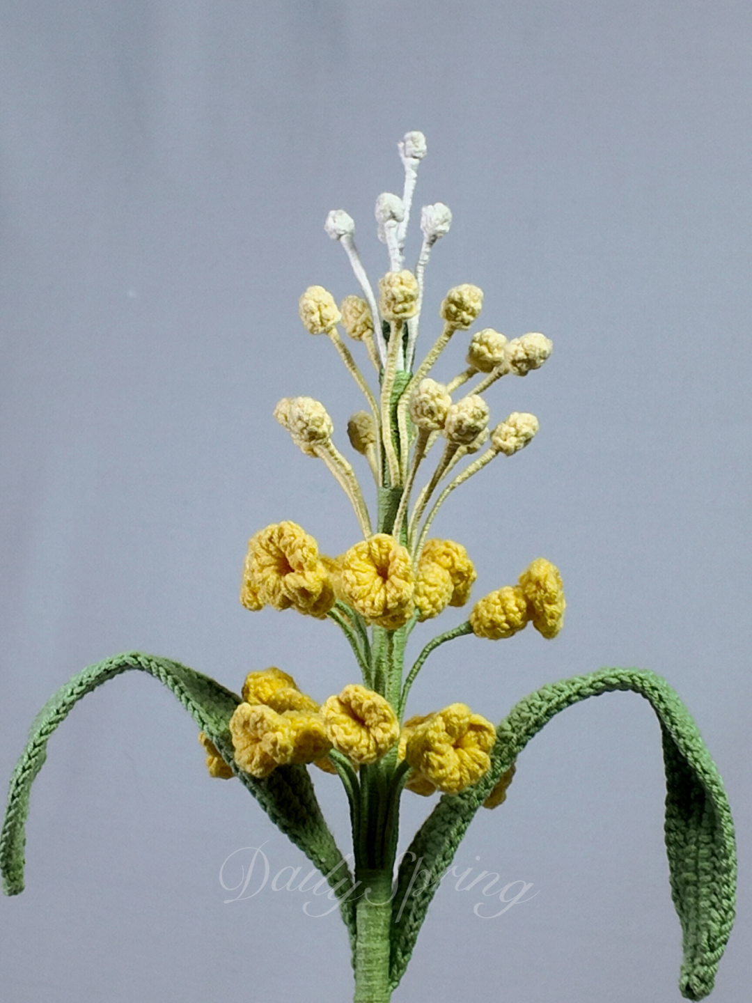 Snapdragons