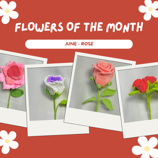 Flower of the Month: The Timeless Rose