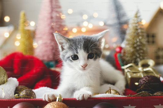 A Heartwarming Christmas Guide — Celebrating the Season with Meaning, Magic & Handmade Joy