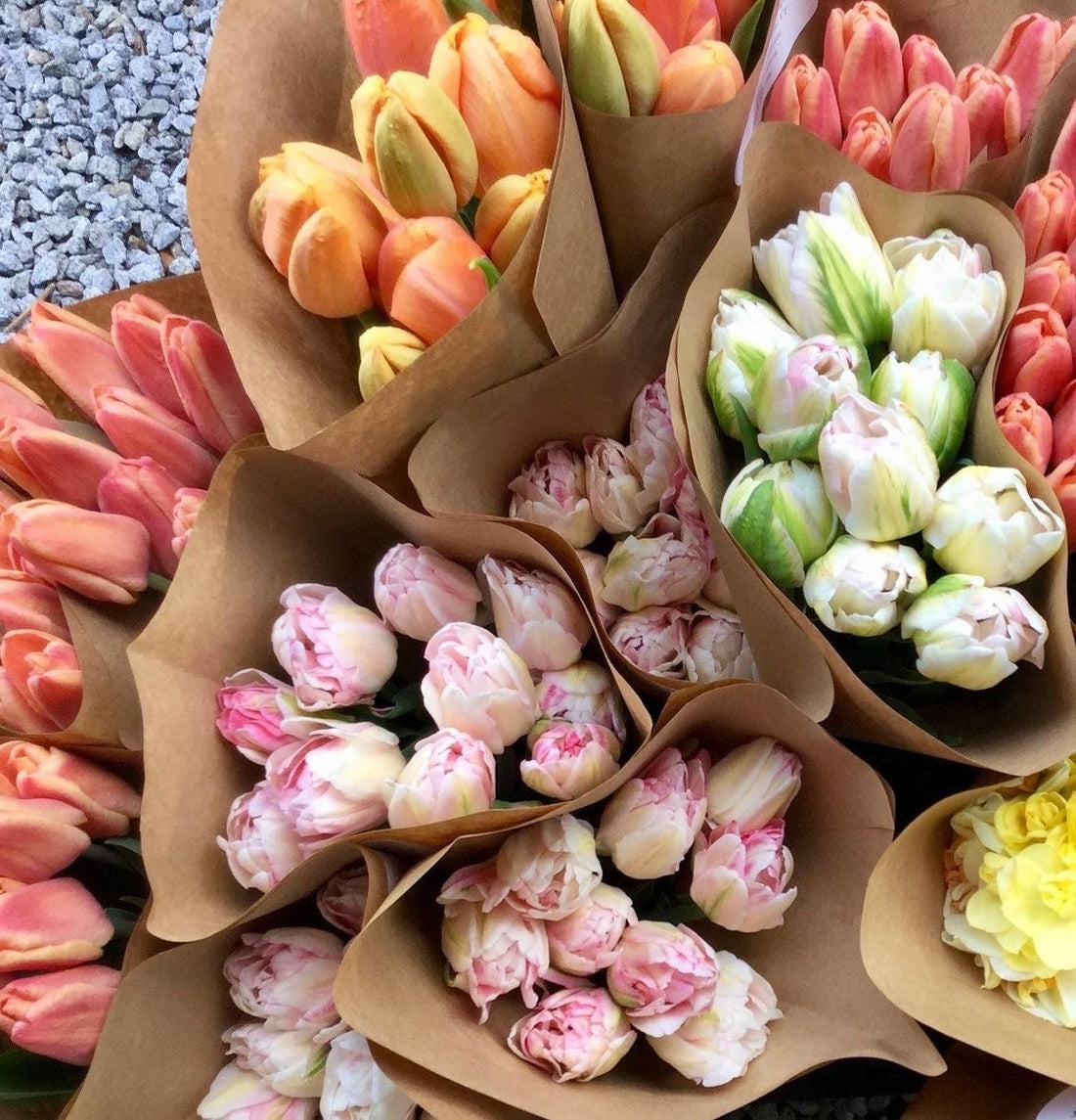 Valentine’s Day Bouquet Ideas: Thoughtful Floral Gifts That Speak from the Heart (2026 Guide)