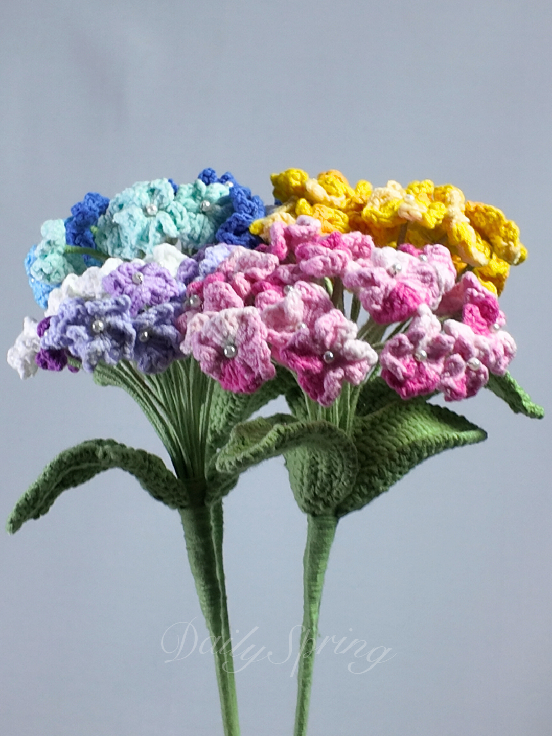 Hydrangeas