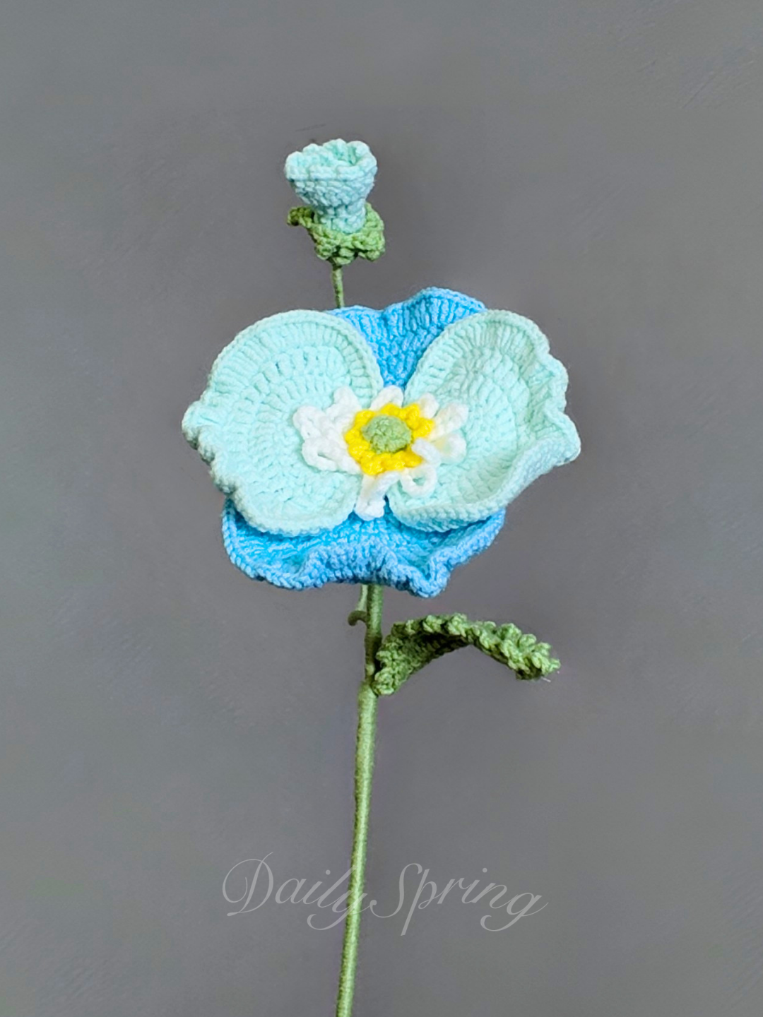 Anemone