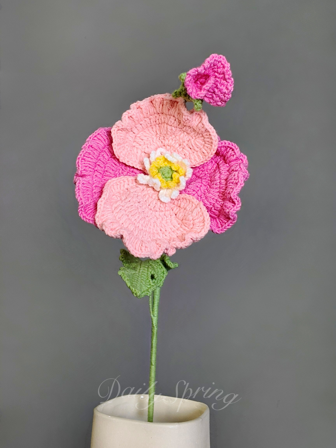 Anemone