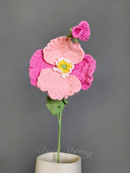 Anemone