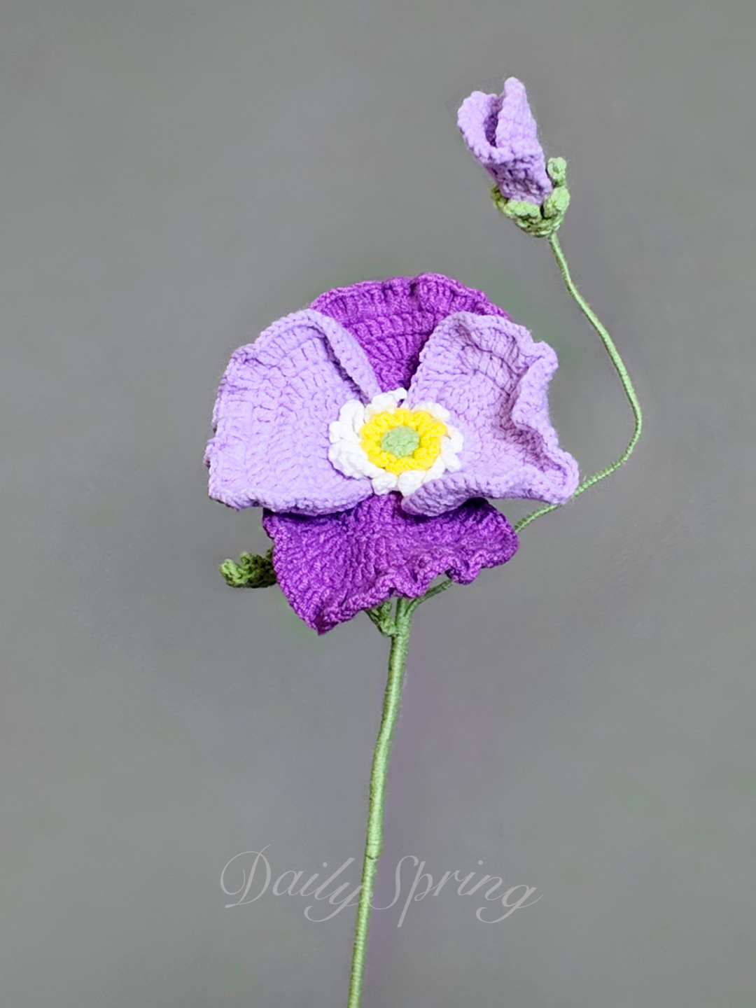Anemone