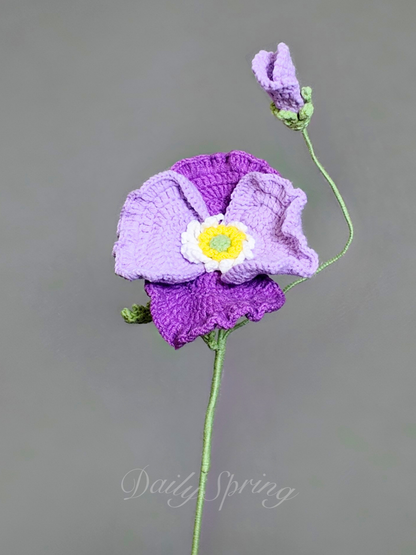 Anemone