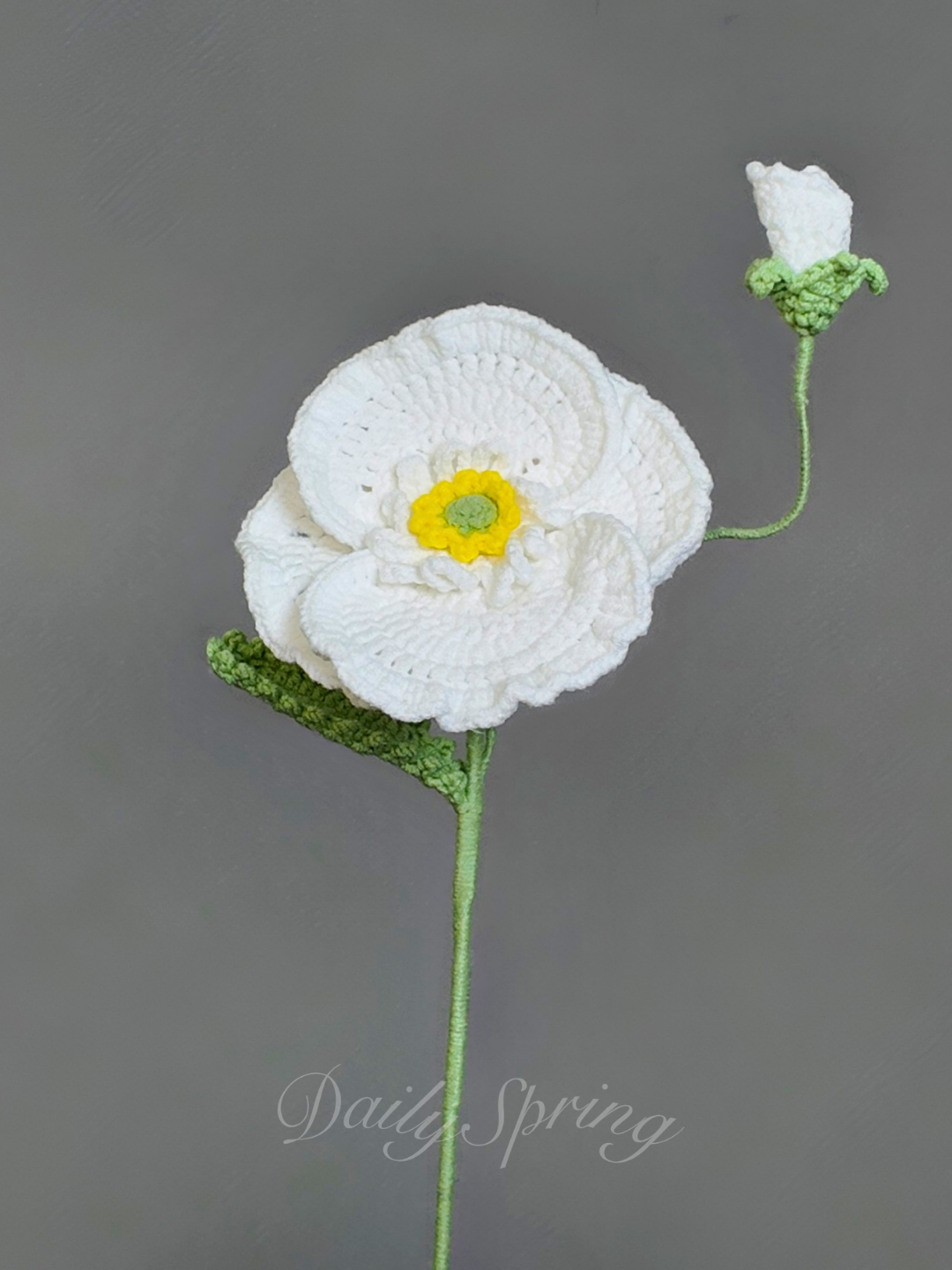 Anemone