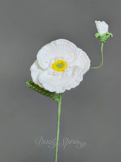 Anemone