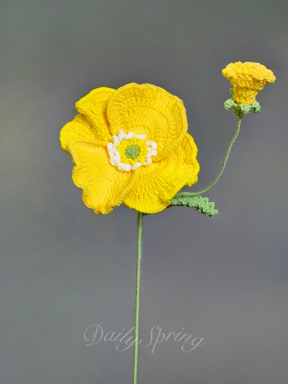 Anemone