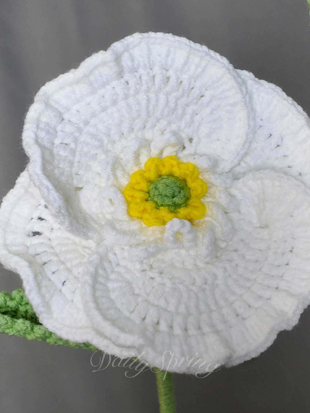 Anemone