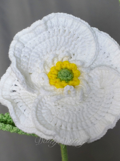 Anemone