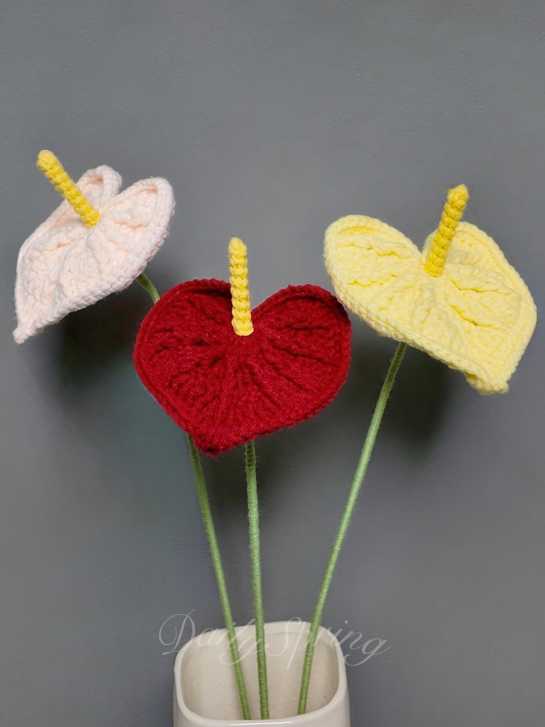 Anthurium (Flamingo Flower)