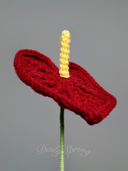 Anthurium (Flamingo Flower)