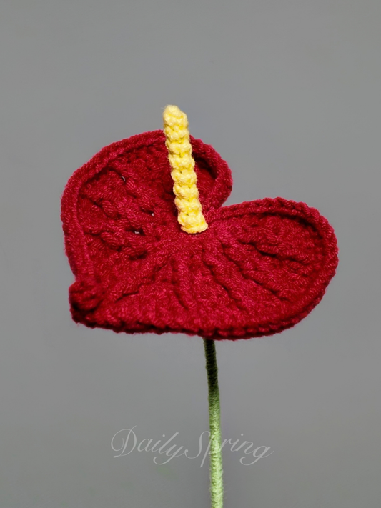 Anthurium (Flamingo Flower)