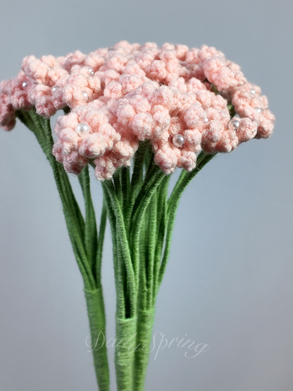 Baby's Breath