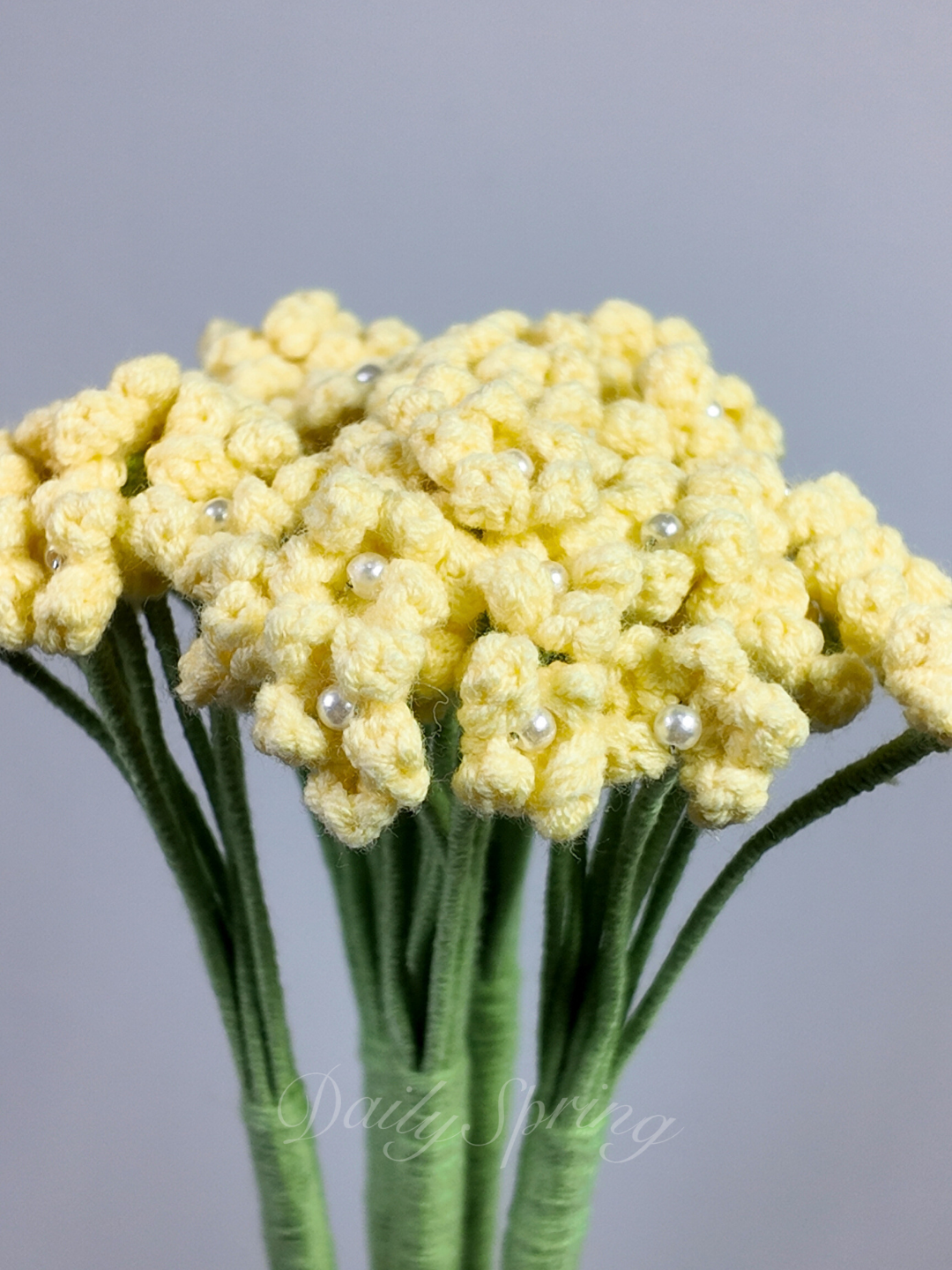 Baby's Breath