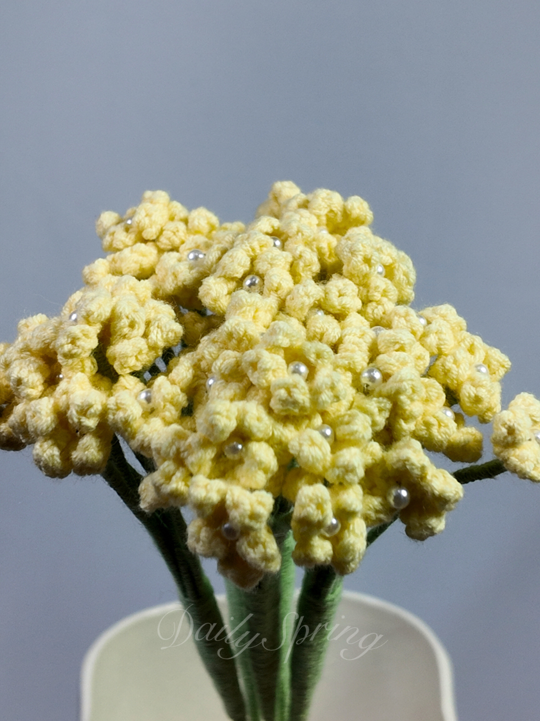 Baby's Breath