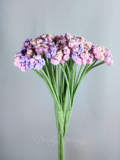 Baby's Breath