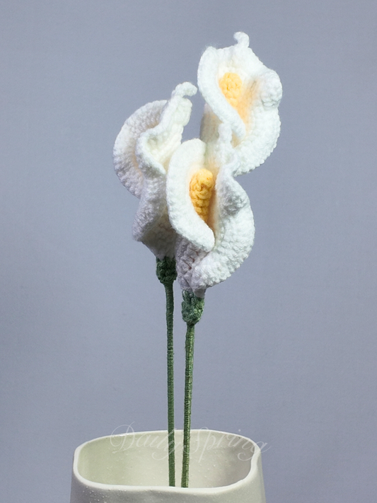 Calla Lily