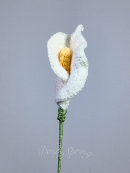 Calla Lily