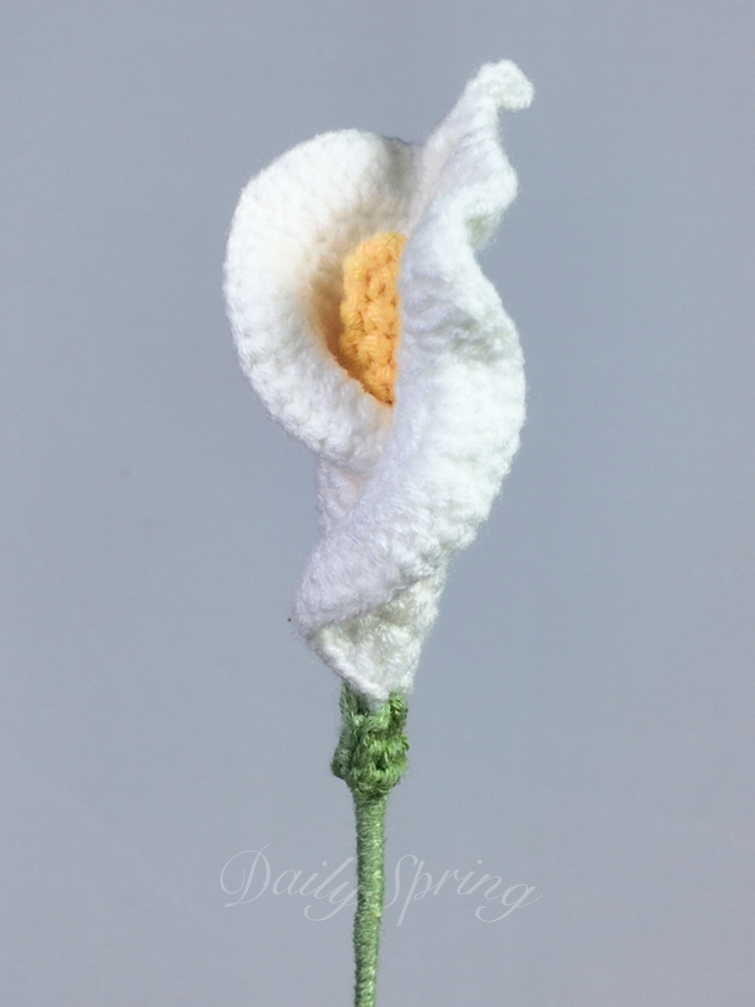 Calla Lily