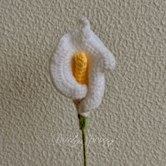Calla Lily