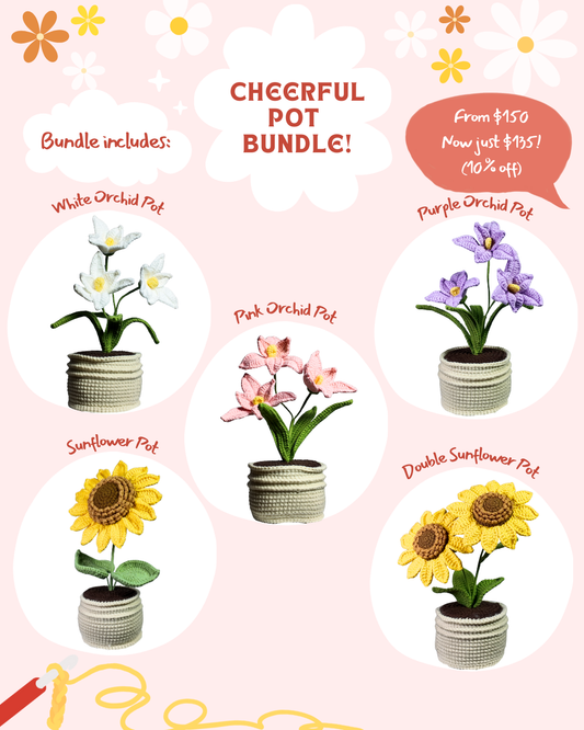Cheerful Pot Bundle