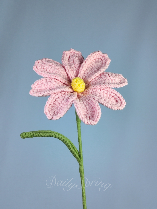 Cosmos
