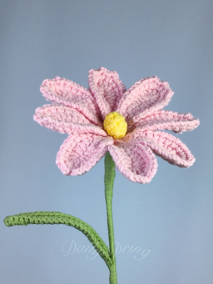 Cosmos