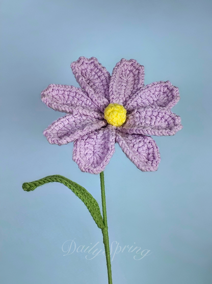 Cosmos