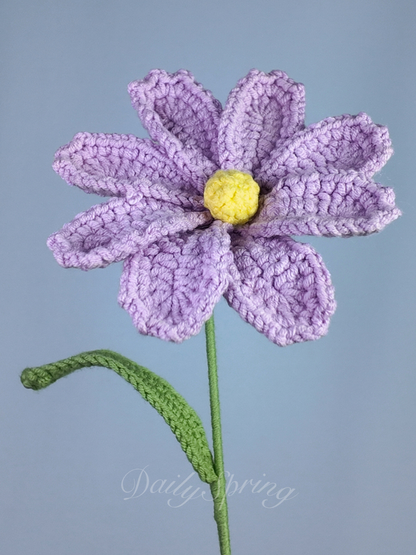 Cosmos