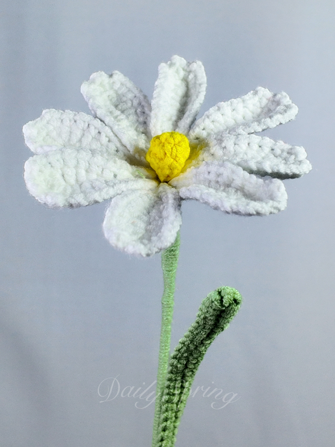 Cosmos