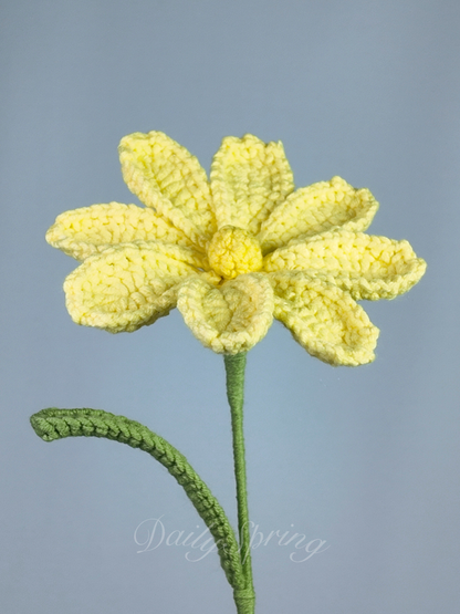 Cosmos