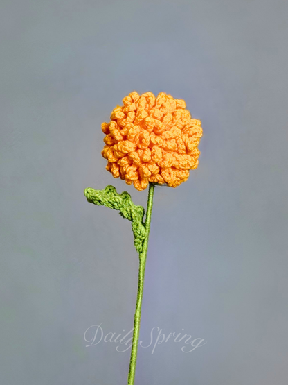 Dahlia