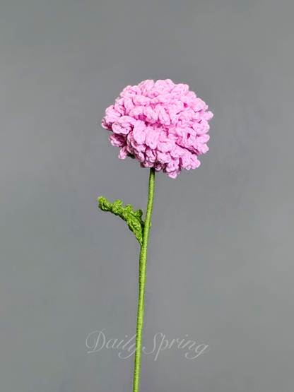 Dahlia