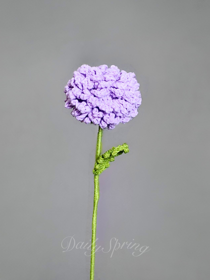 Dahlia