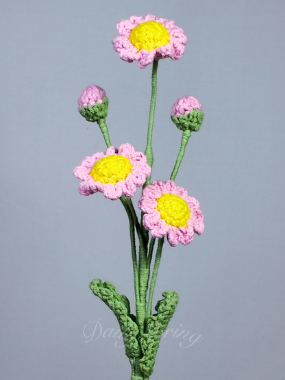Multi-Daisies