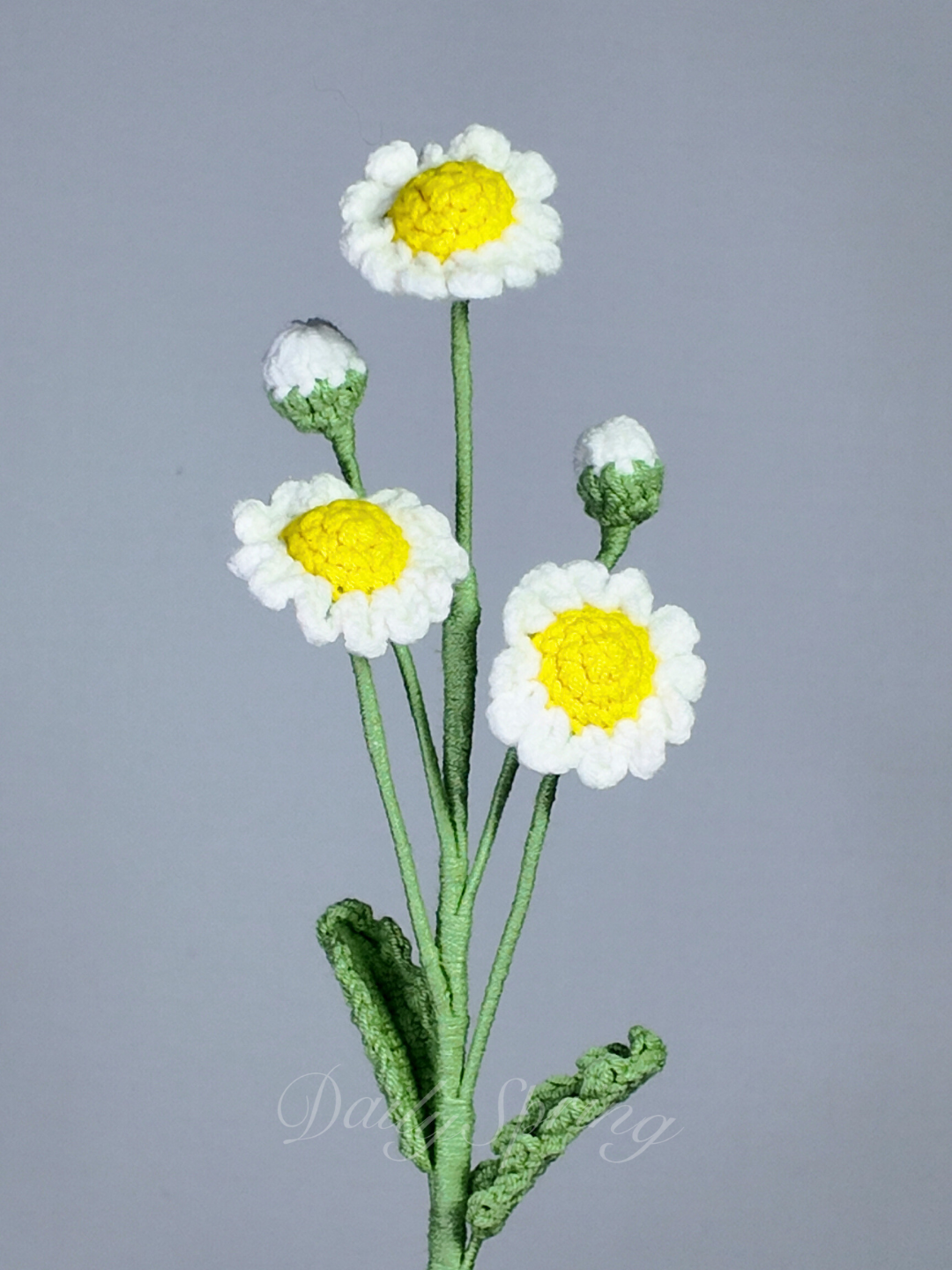 Multi-Daisies