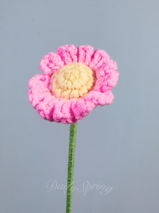Daisy