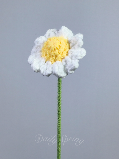 Daisy