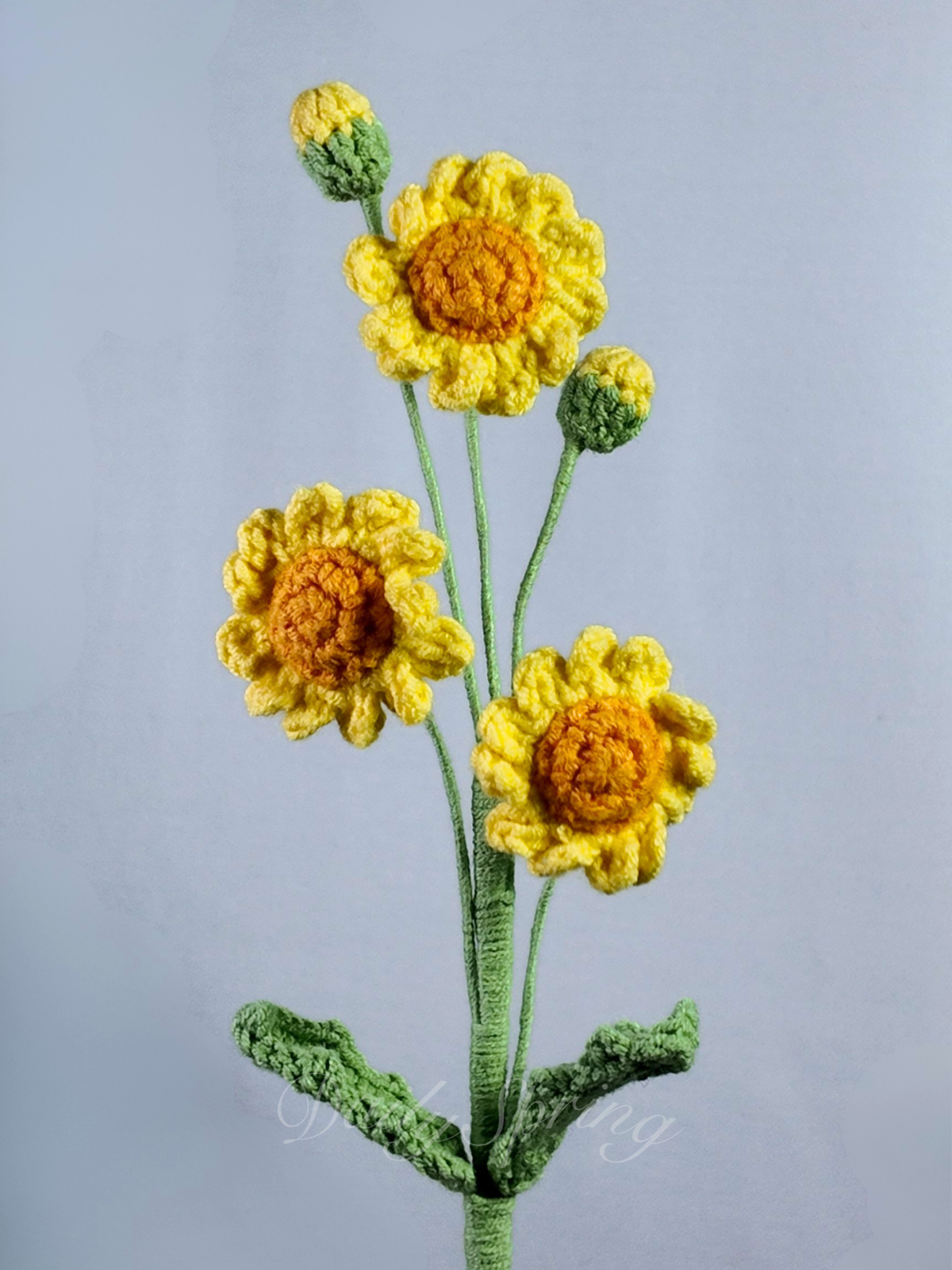 Multi-Daisies