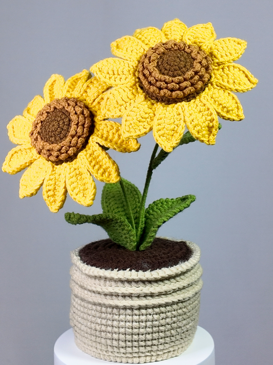 Double Sunflowers Pot