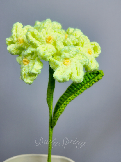 Forget-Me-Not