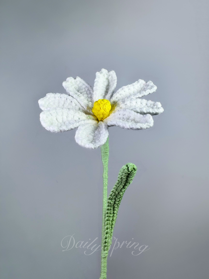 Cosmos