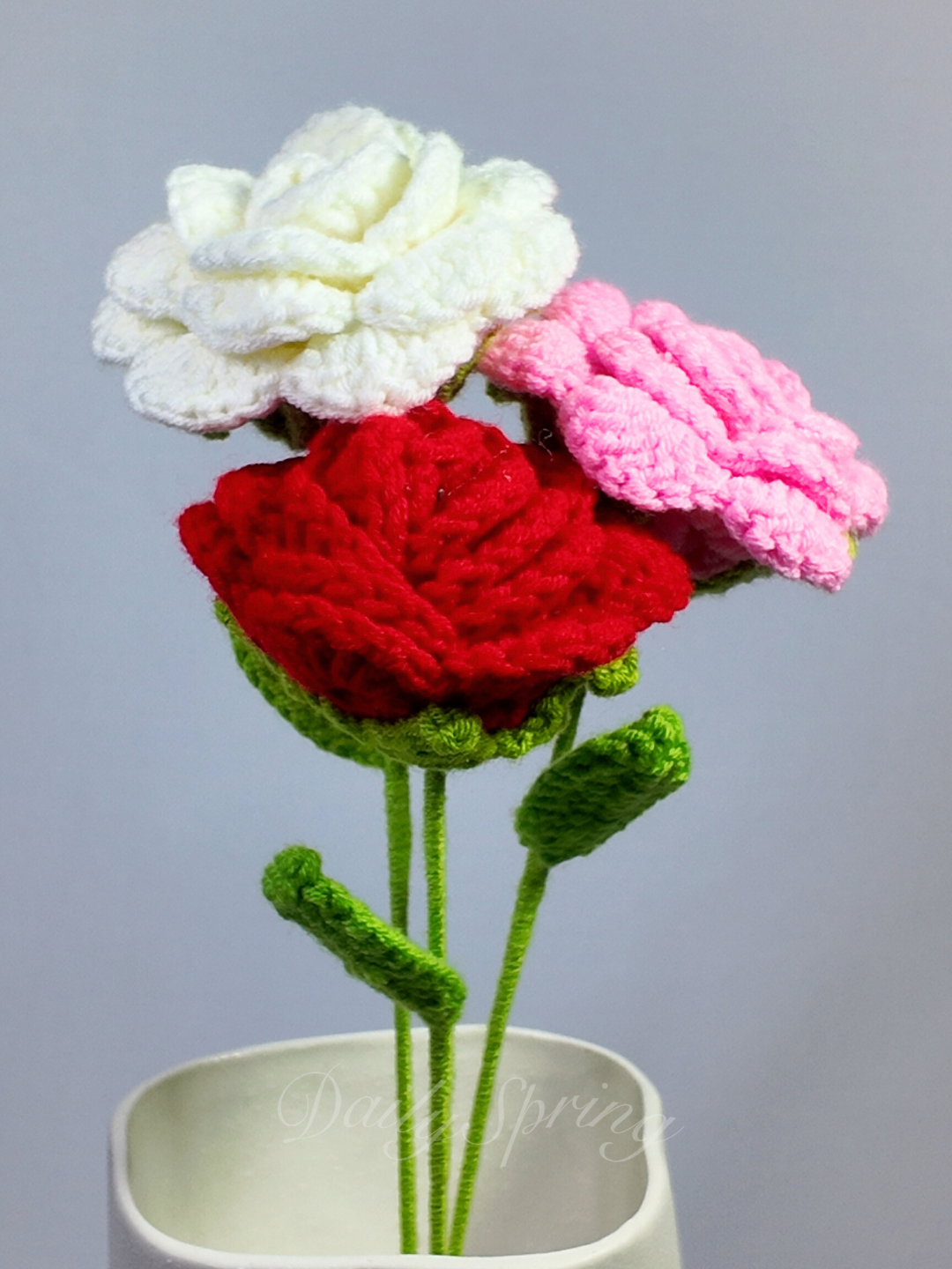 Hybrid Tea Rose