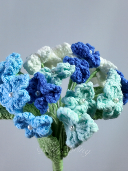 Hydrangea